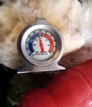 Stainless Steel Fridge/Freezer Thermometer Stands & Hangs Waterproof