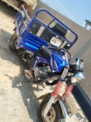 Tricycle 2024 Blue