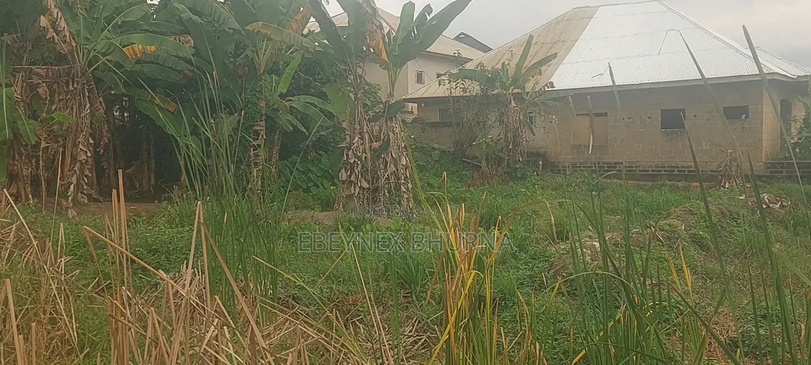 Fish Farm Land