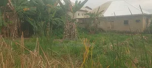 Fish Farm Land