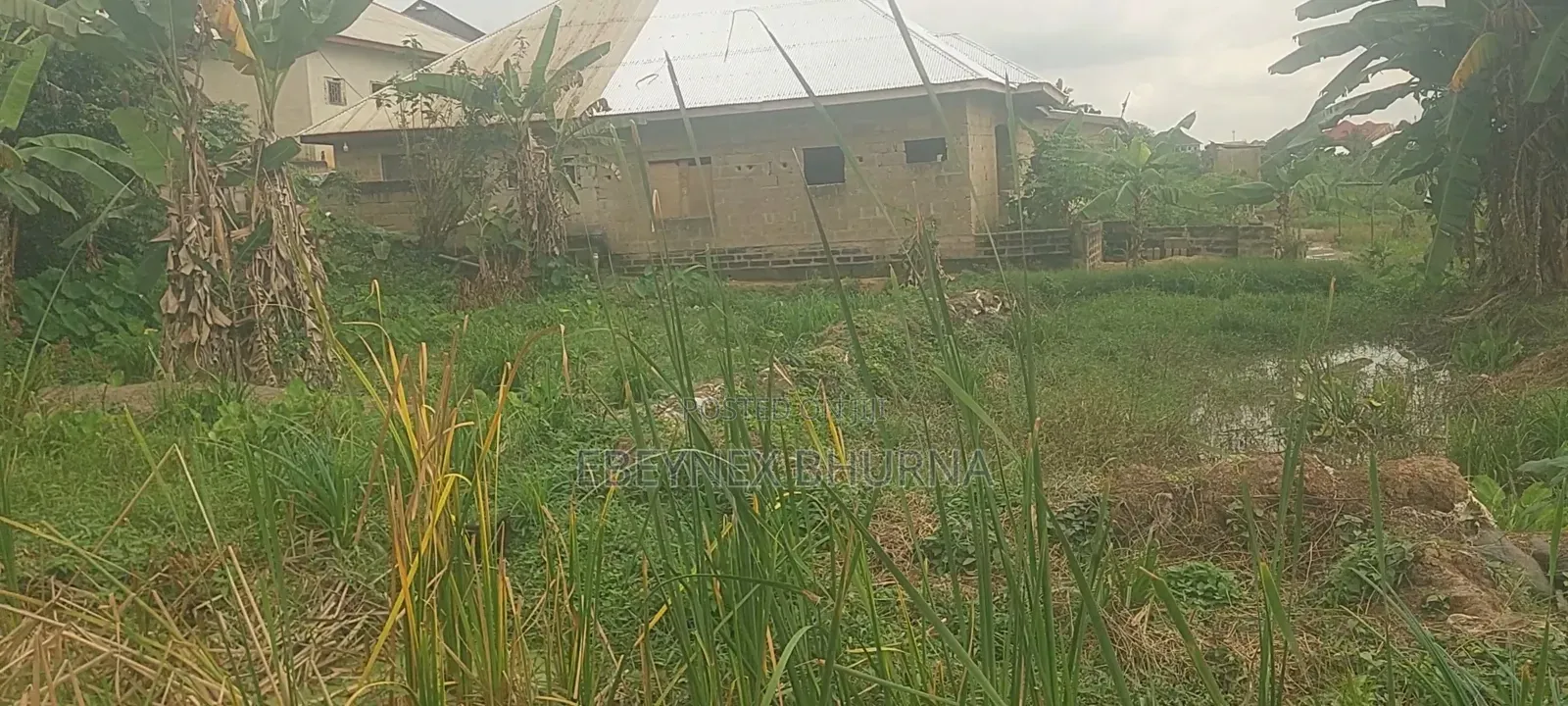 Fish Farm Land