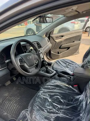 Hyundai Elantra ECO 2018 Gray