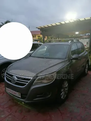 Volkswagen Tiguan S 2010 Gray
