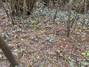 Registered Farm Land for Sale