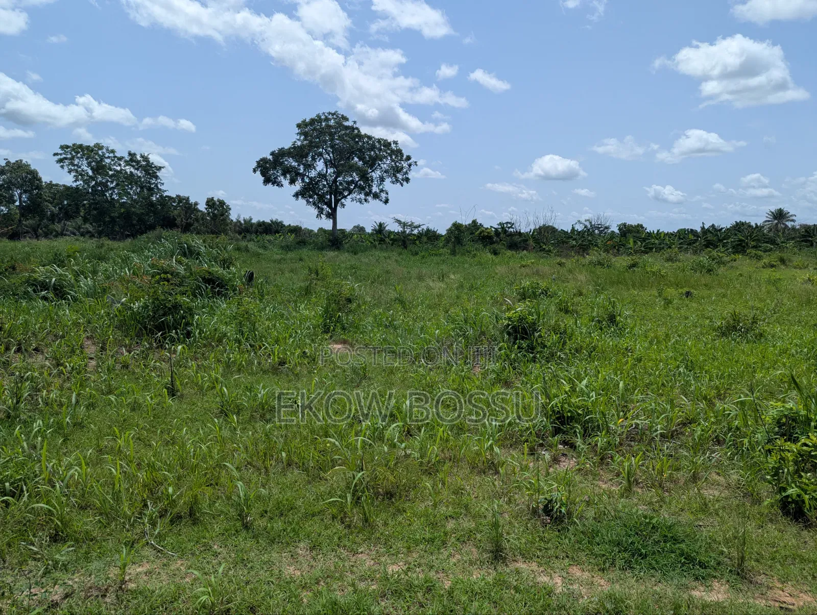 Registered Farm Land for Sale