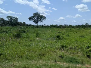 Registered Farm Land for Sale