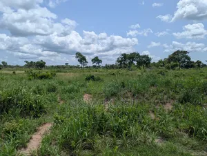 Registered Farm Land for Sale