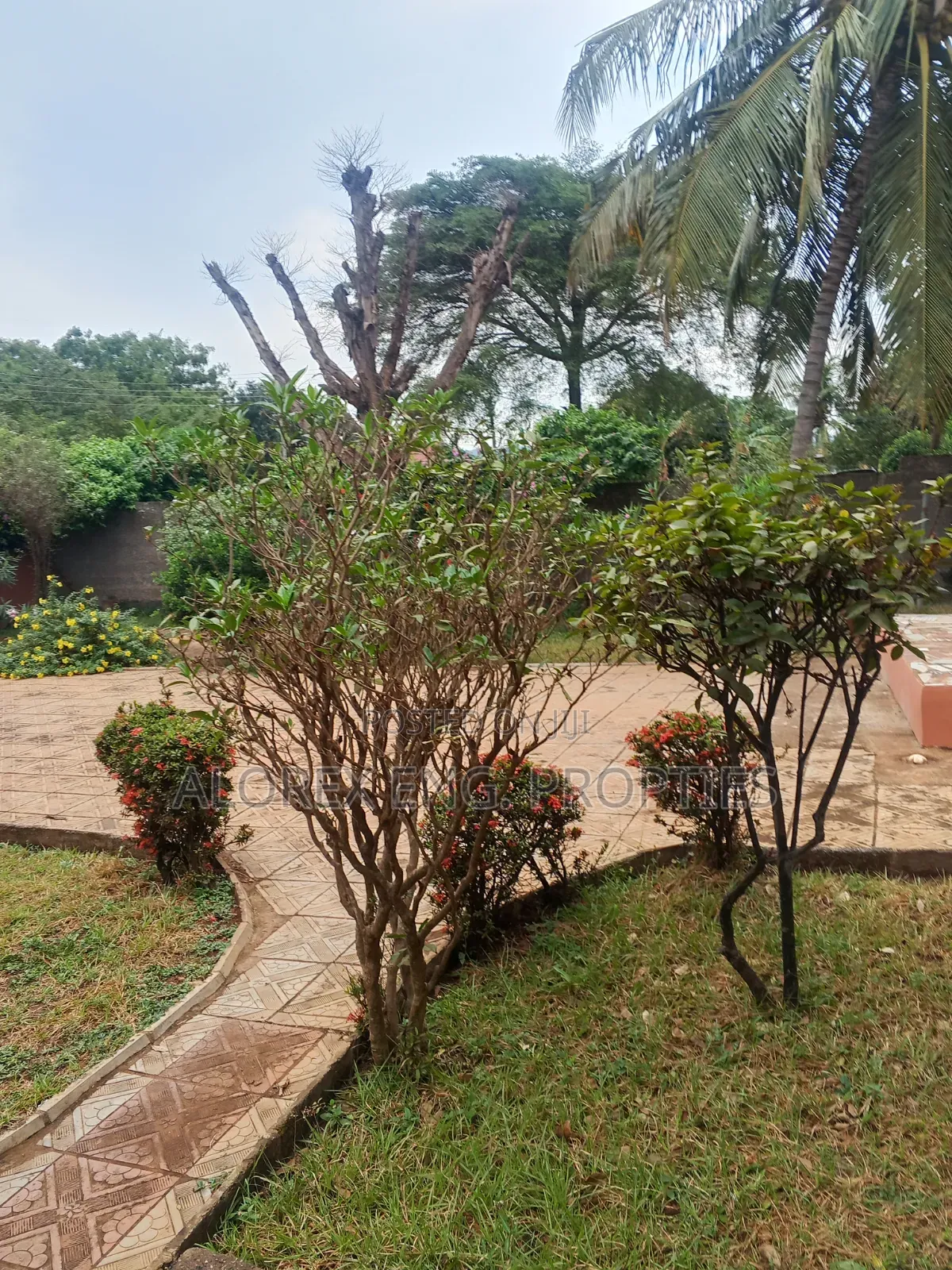 2bdrm Apartment in Adenta Amanfro, Frafraha for rent