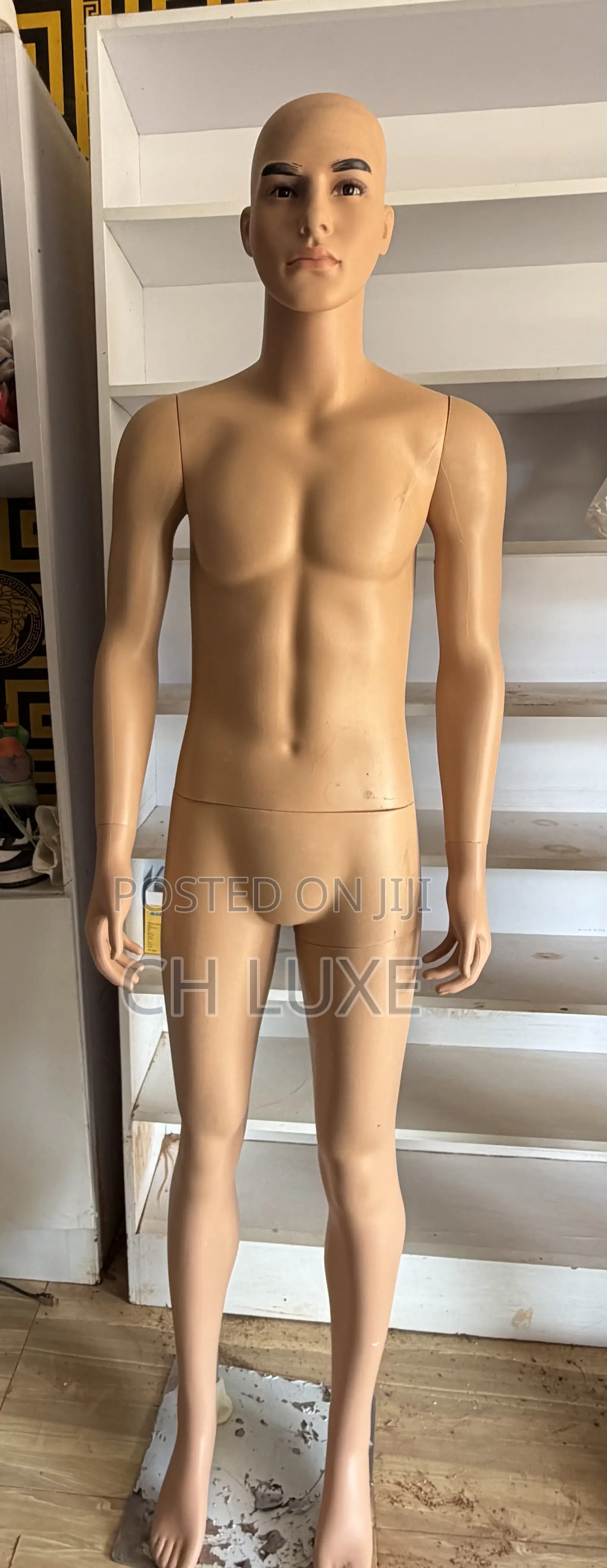 Male Mannequin