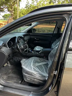 Hyundai Tucson Limited 2022 Gray