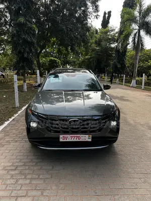 Hyundai Tucson Limited 2022 Gray