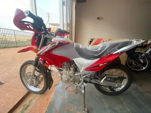 New Royal Motorcycle 2022 Gray