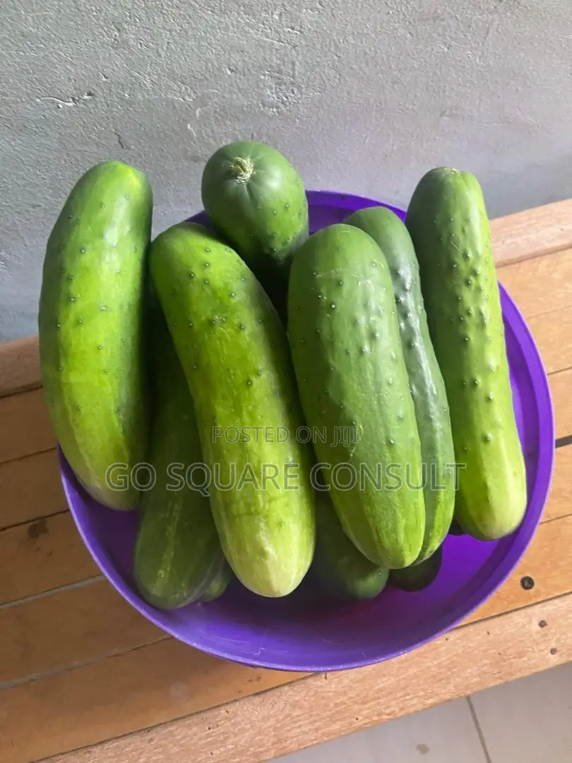 Cucumbers for Sale
