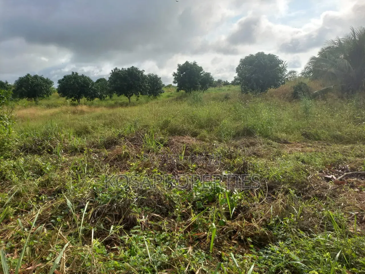 3 Acres of River Front Land for Sale at Sogakope Near Beach Resort
