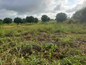 3 Acres of River Front Land for Sale at Sogakope Near Beach Resort