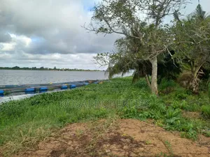 3 Acres of River Front Land for Sale at Sogakope Near Beach Resort