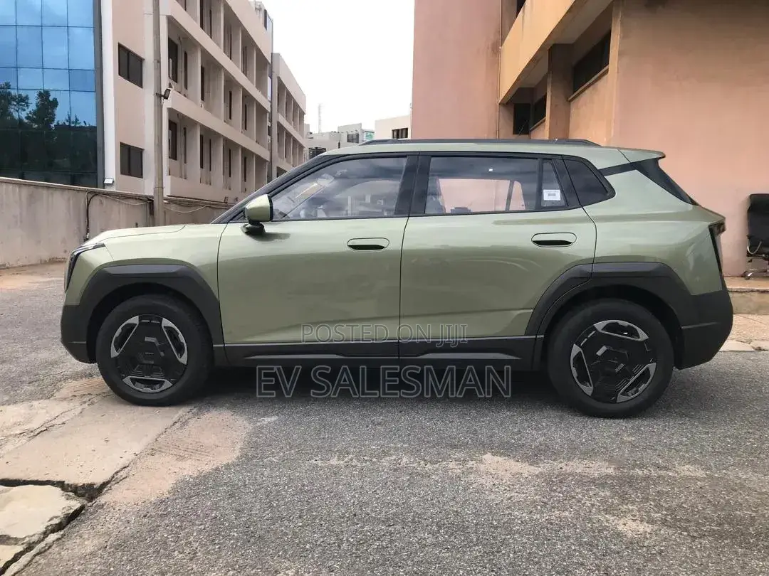 Dongfeng Nammi 06 2026 Green