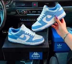 Nike Sb Dunk Low University Blue and White