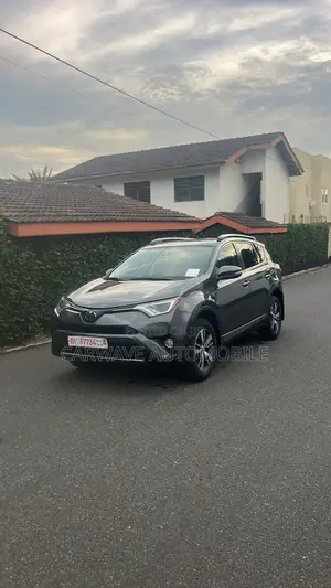Toyota RAV4 XLE AWD (2.5L 4cyl 6A) 2017 Gray