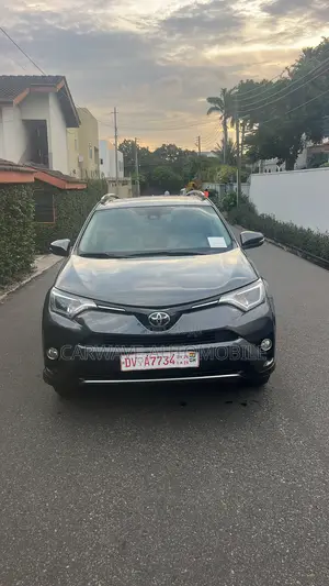 Toyota RAV4 XLE AWD (2.5L 4cyl 6A) 2017 Gray