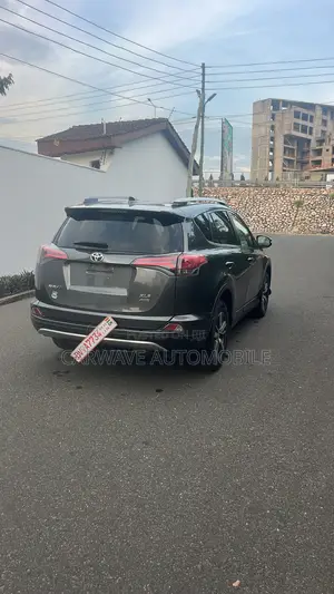 Toyota RAV4 XLE AWD (2.5L 4cyl 6A) 2017 Gray