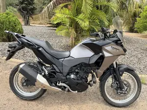 Kawasaki Versys X300 2022 Gray