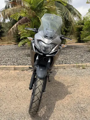Kawasaki Versys X300 2022 Gray