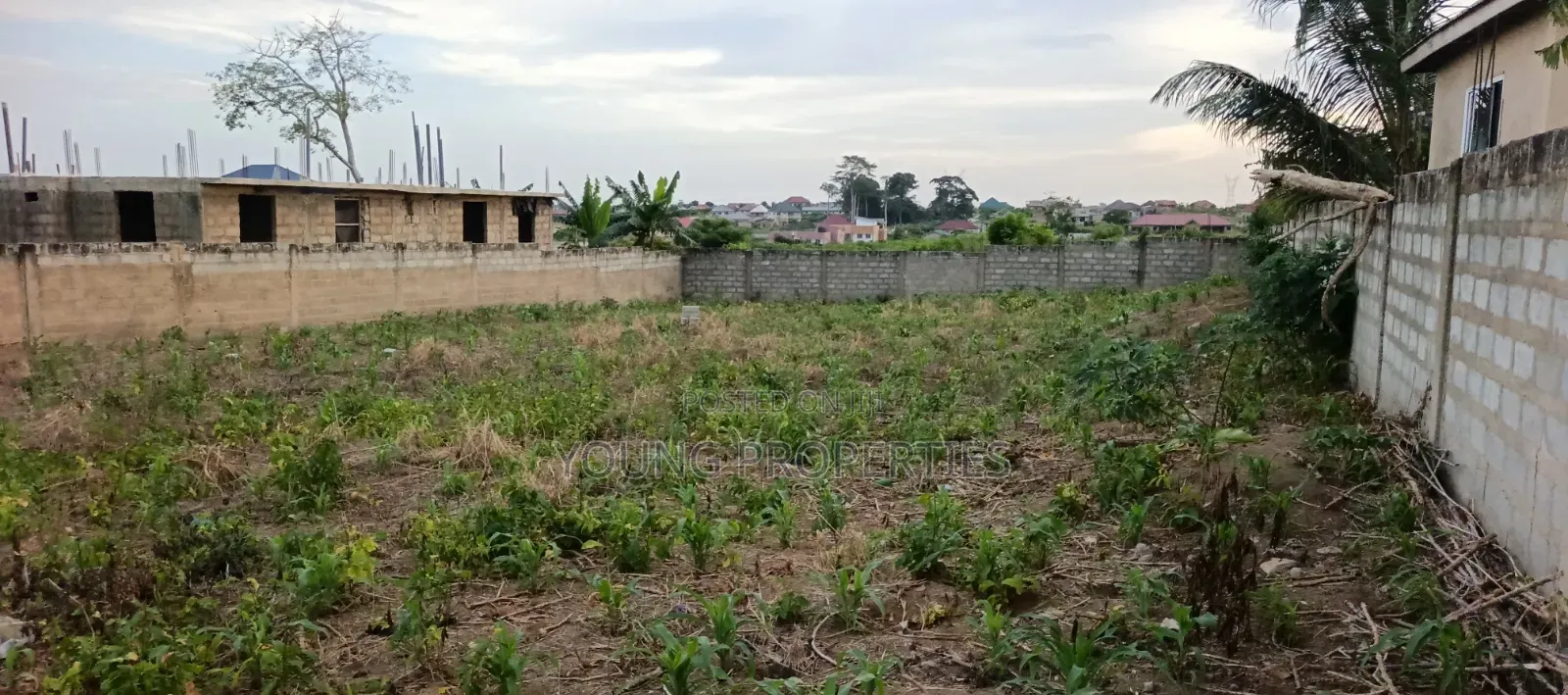 One and Half Plot for Sale Amasaman Danchira
