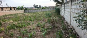 One and Half Plot for Sale Amasaman Danchira
