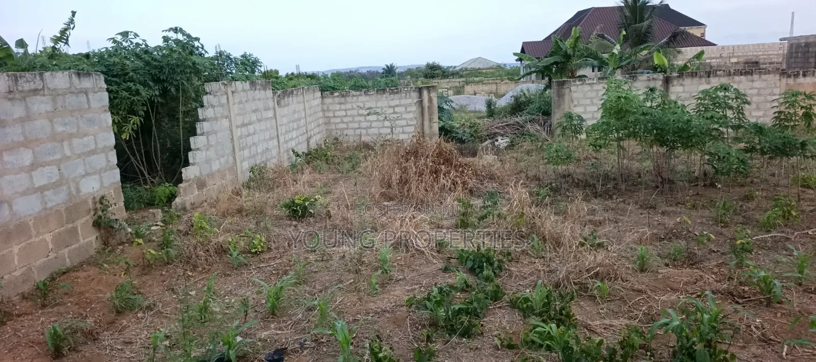 One and Half Plot for Sale Amasaman Danchira