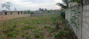 One and Half Plot for Sale Amasaman Danchira