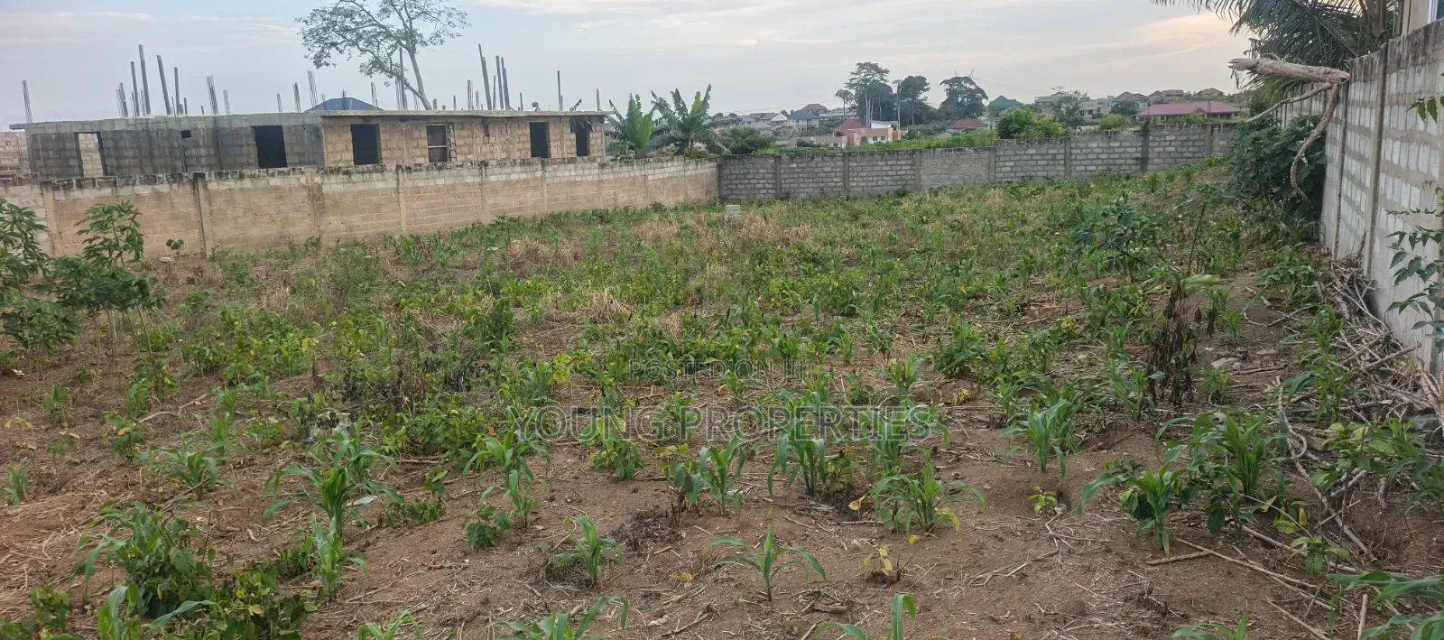 One and Half Plot for Sale Amasaman Danchira