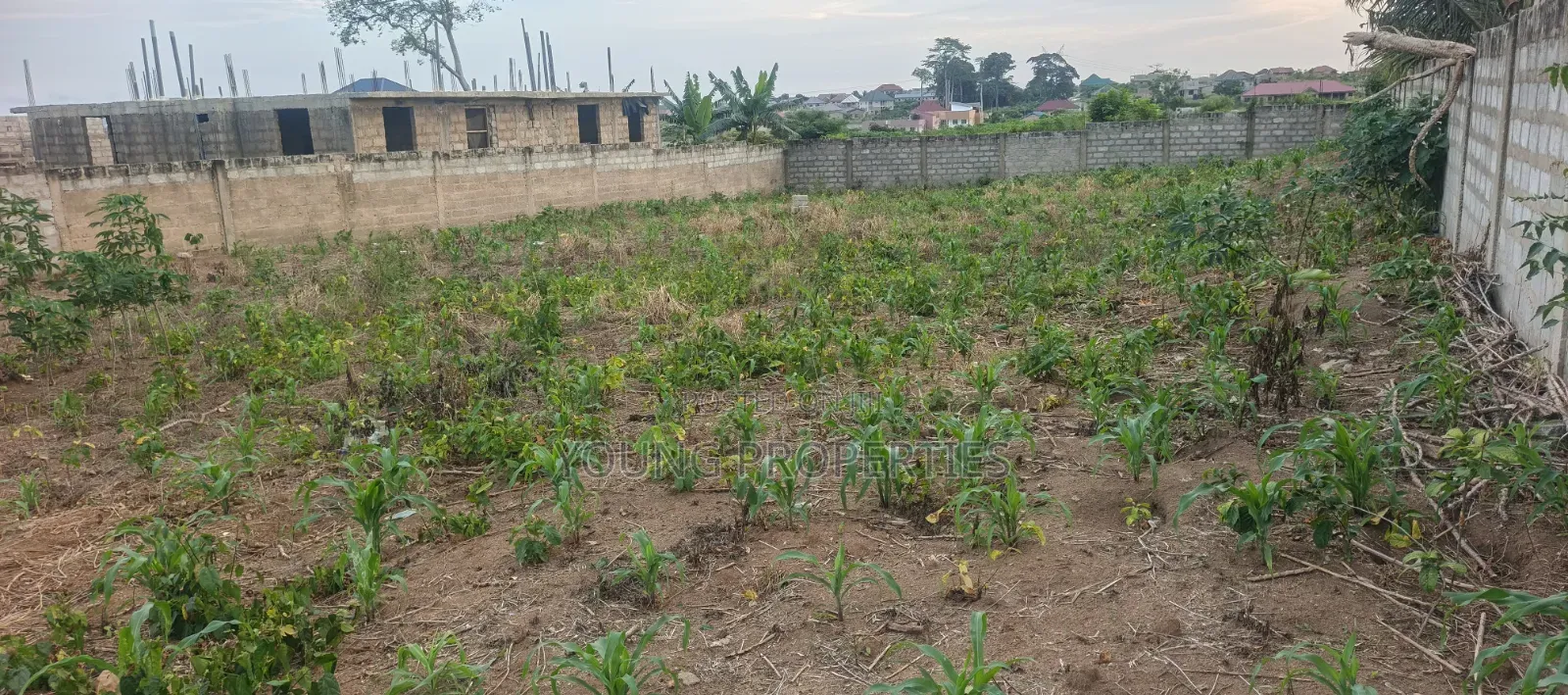 One and Half Plot for Sale Amasaman Danchira