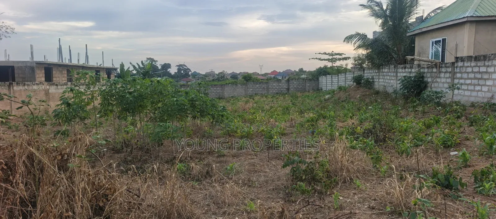 One and Half Plot for Sale Amasaman Danchira