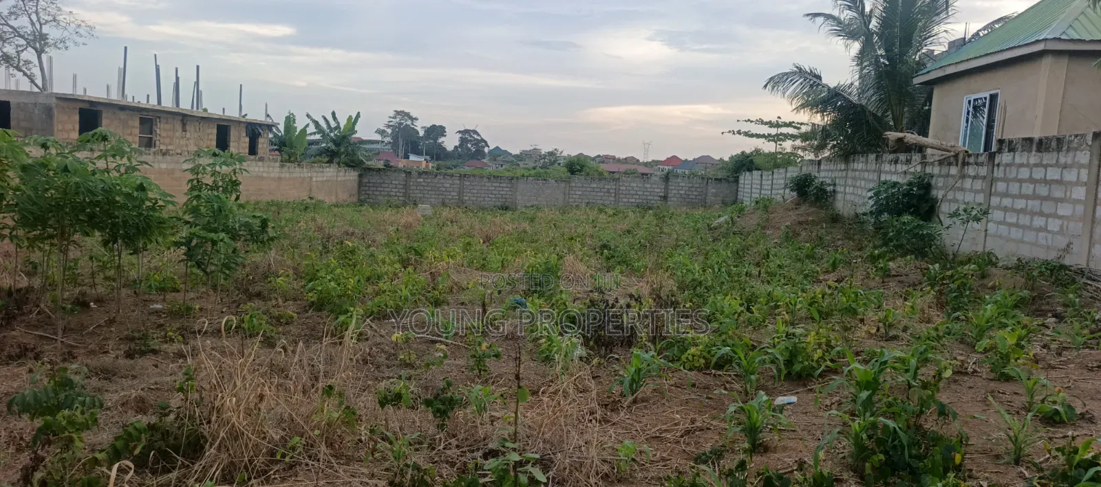 One and Half Plot for Sale Amasaman Danchira