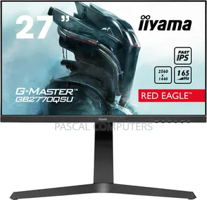 Gaming Monitor