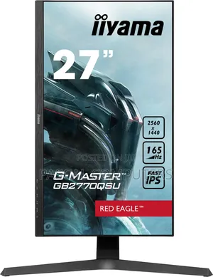 Gaming Monitor