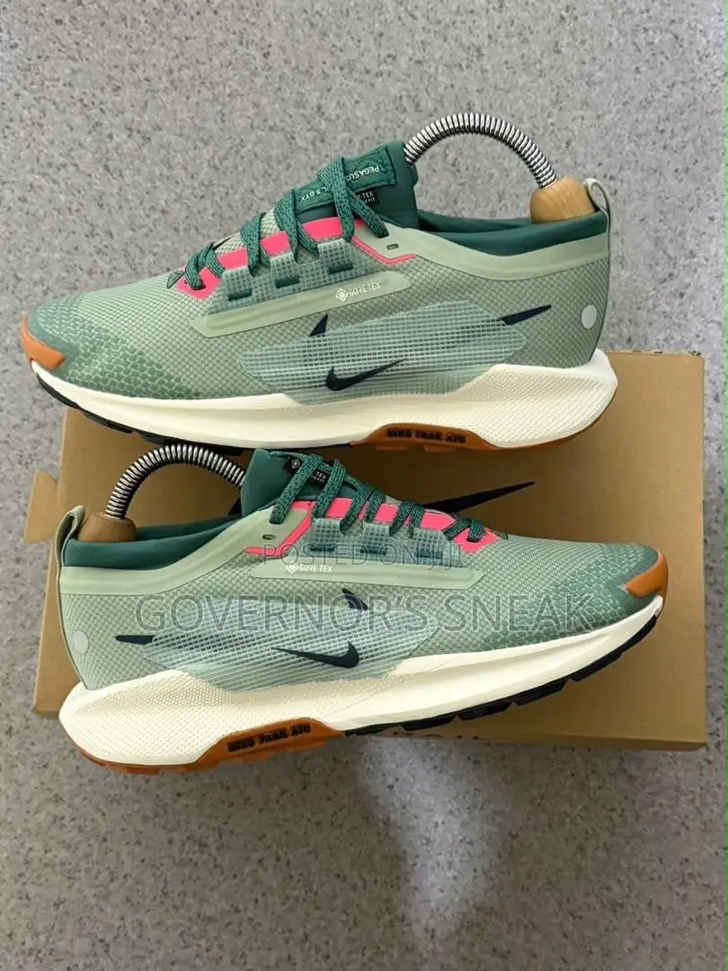 Nike ReactX Pegasus Trail 5 Gore-Tex