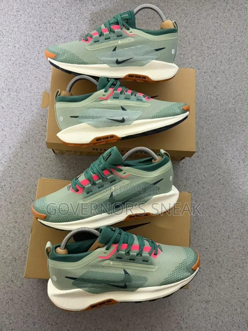 Nike ReactX Pegasus Trail 5 Gore-Tex