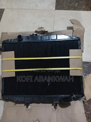 Hyndai Grace (H 100)