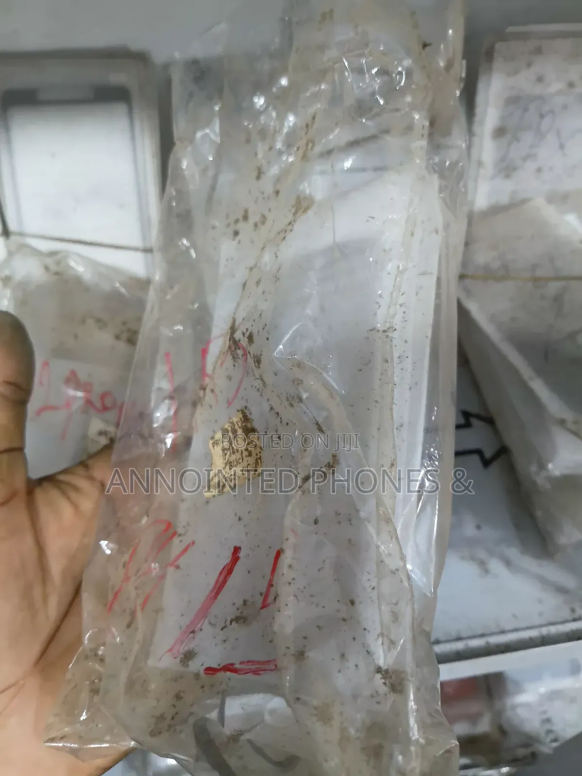 iPhone 15 Glass