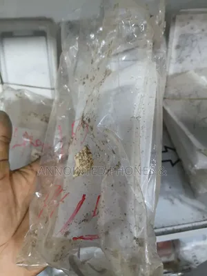 iPhone 15 Glass