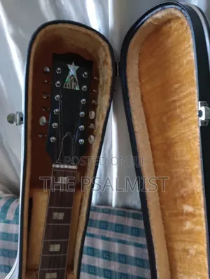 Greco 12strings Acoustic Guitar