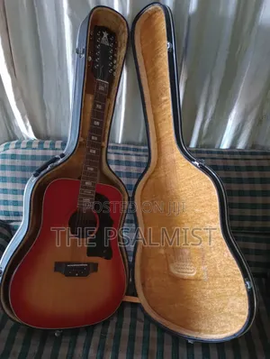 Greco 12strings Acoustic Guitar