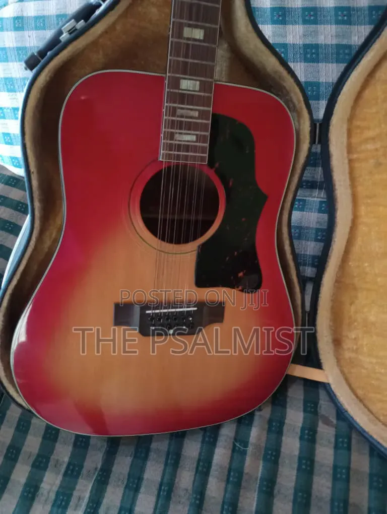 Greco 12strings Acoustic Guitar