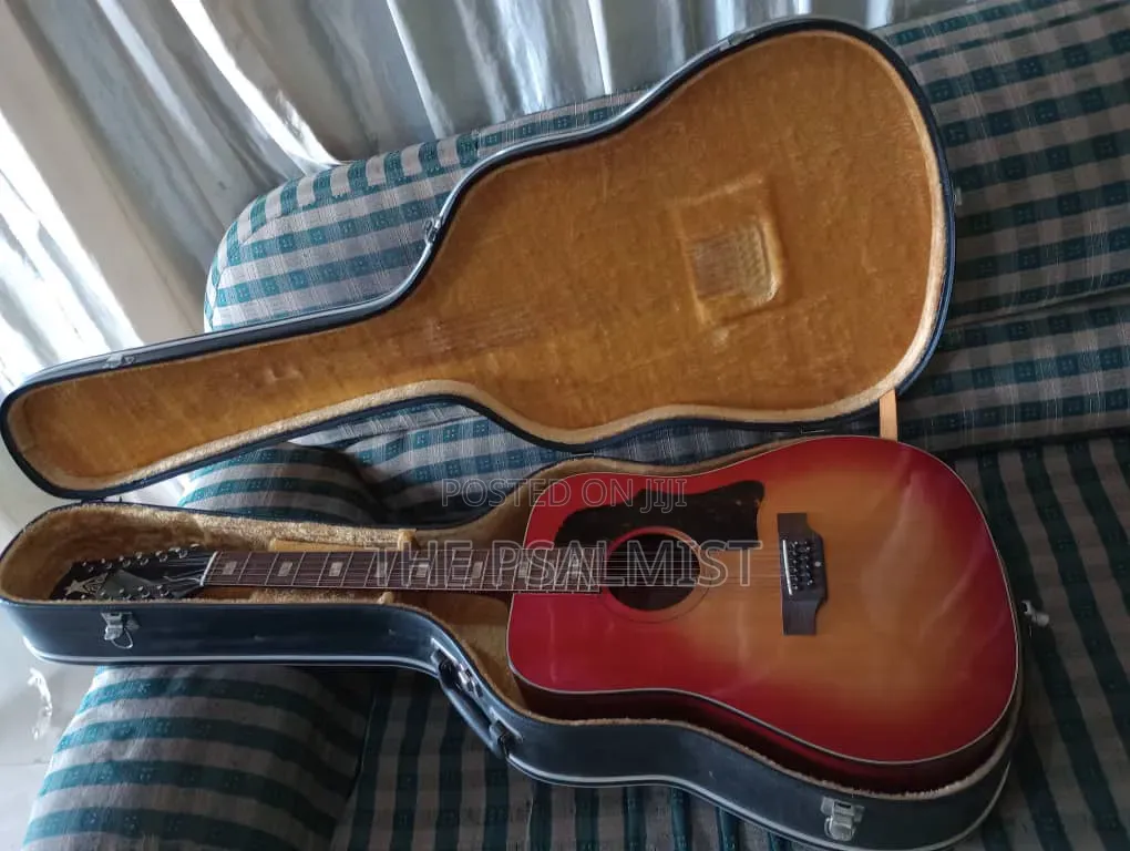 Greco 12strings Acoustic Guitar