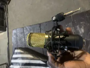 NEEWER Mic