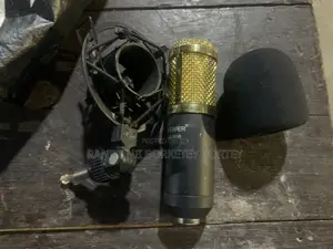 NEEWER Mic