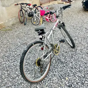 Folding Mountain Bicycle.