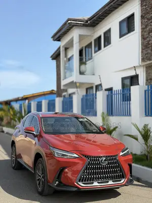 Lexus NX 250 2023 Orange